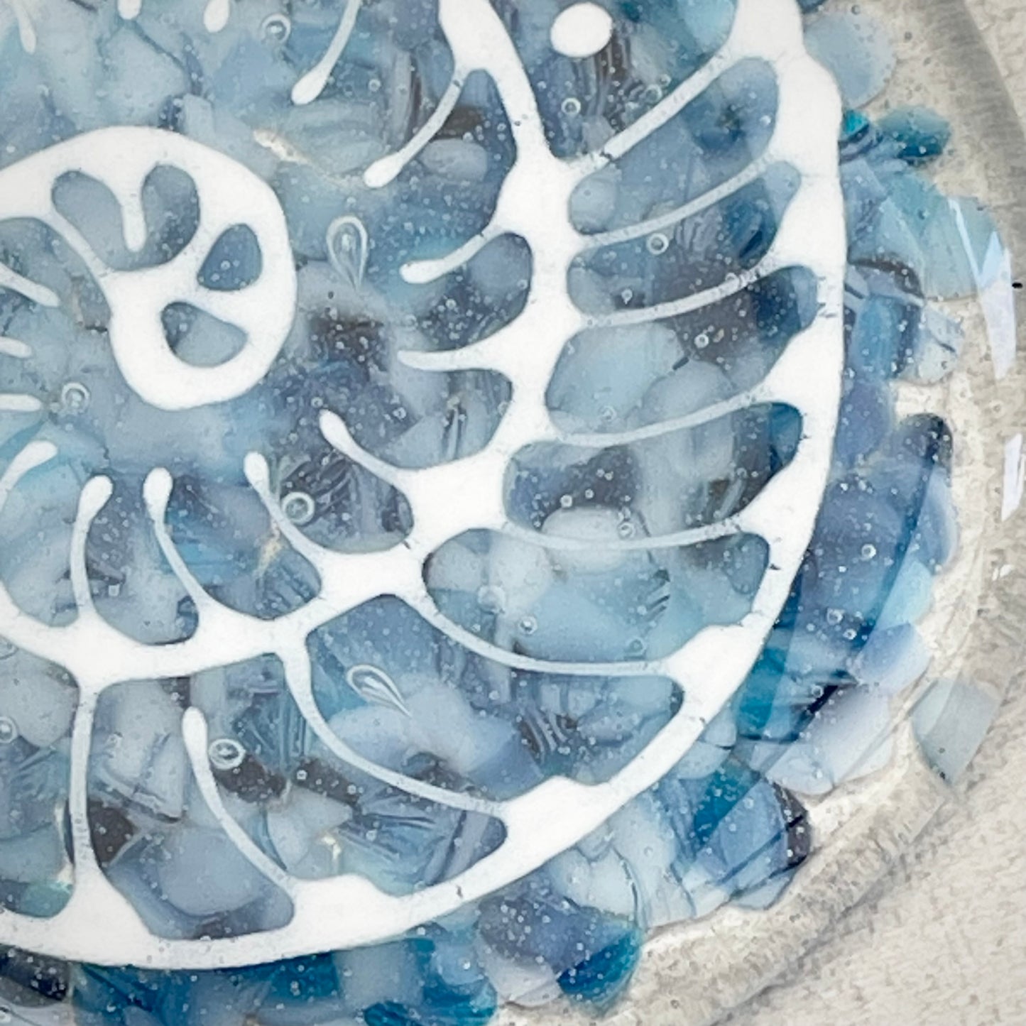 Ammonite window hanger