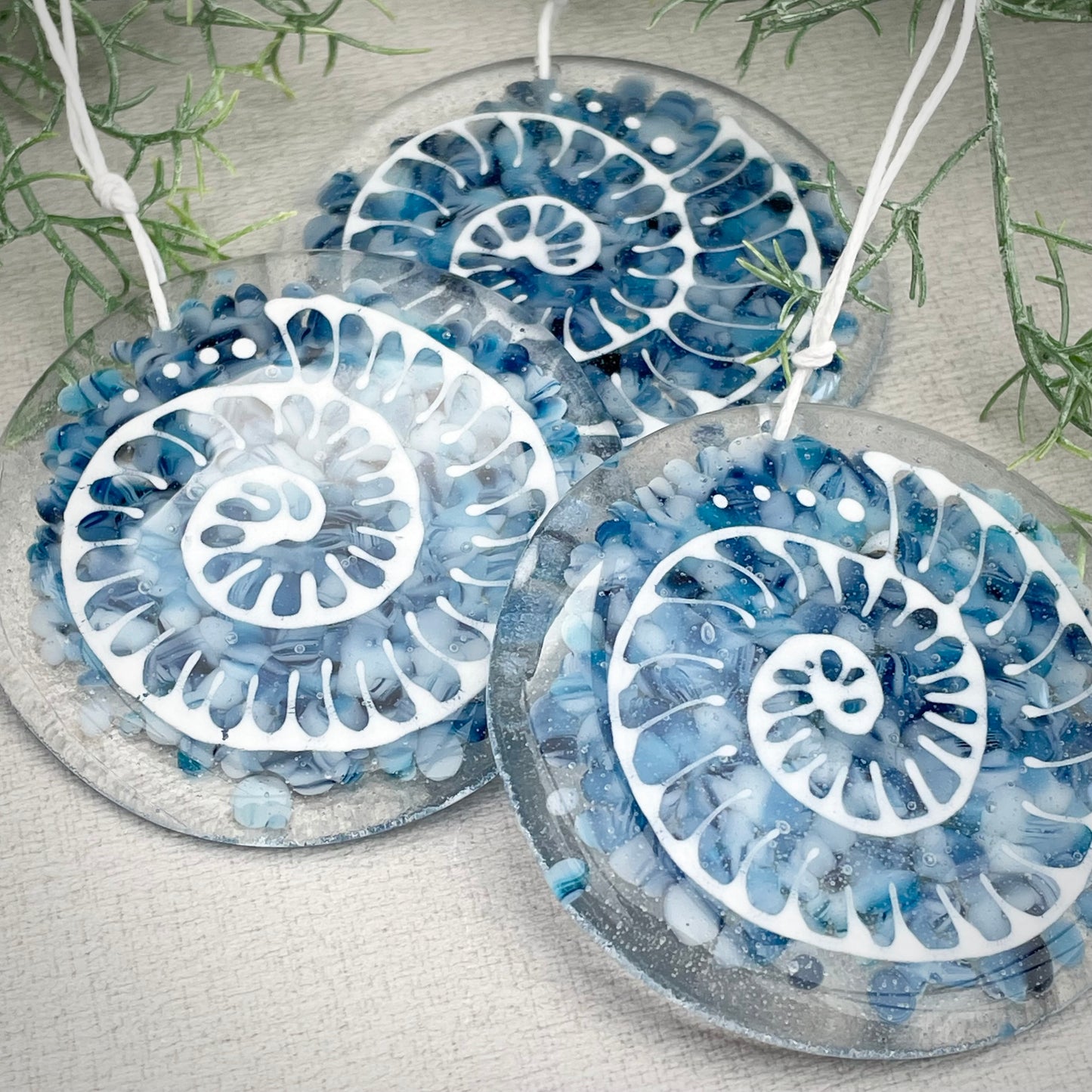 Ammonite window hanger