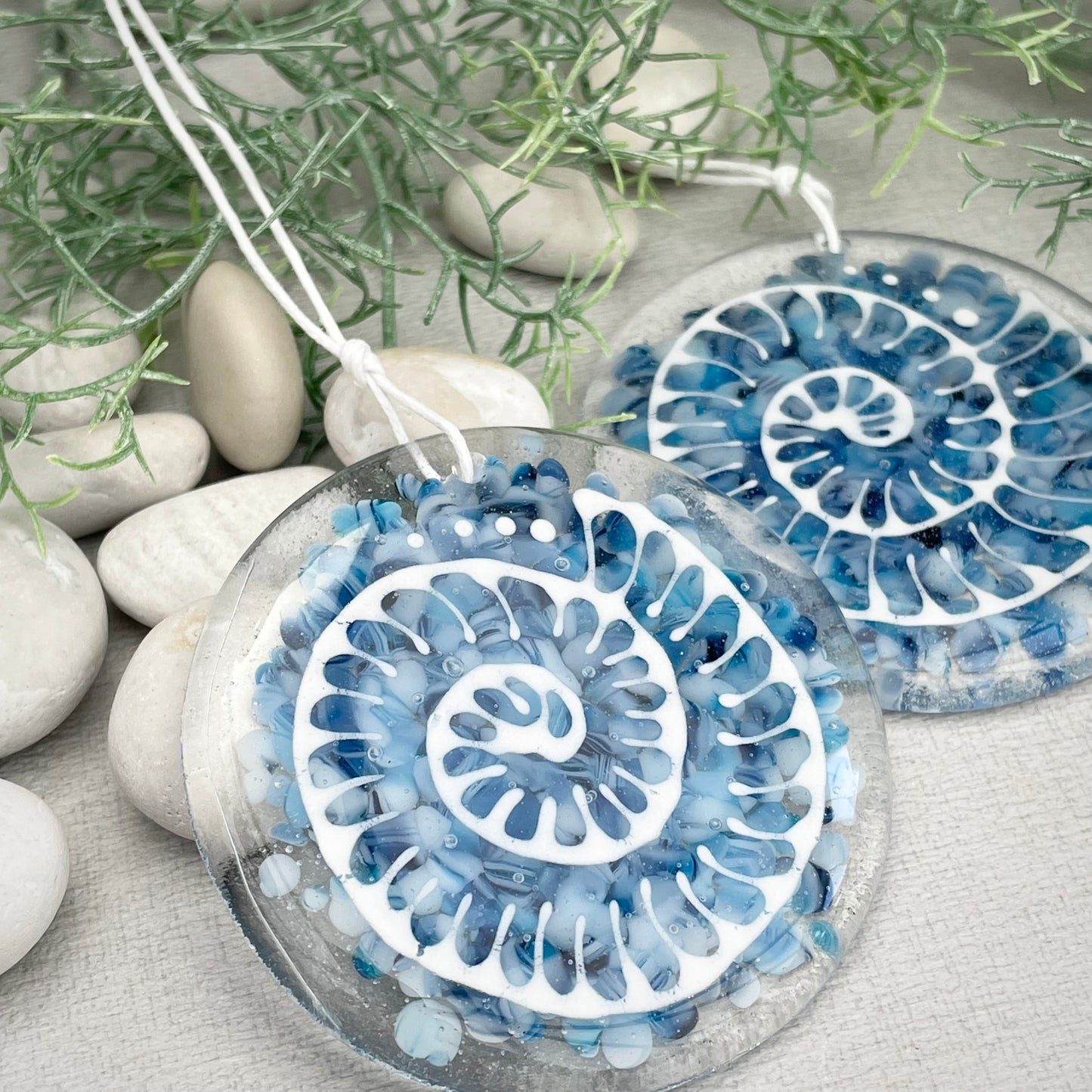 Ammonite window hanger