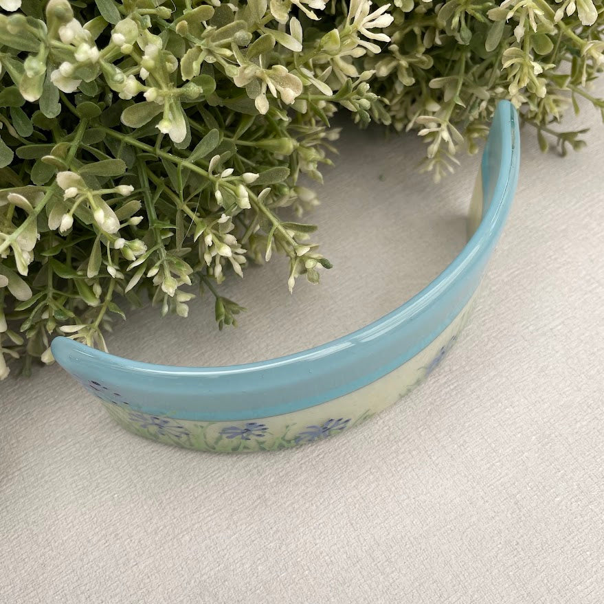 Agapanthus Curve