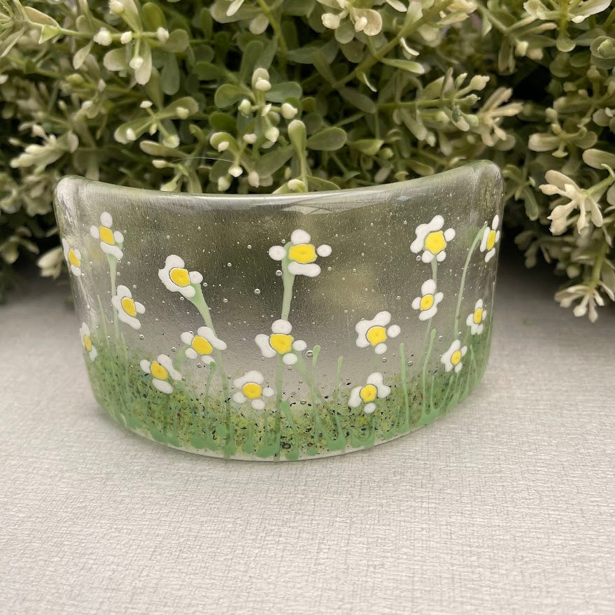 White Daisy Mini Curve