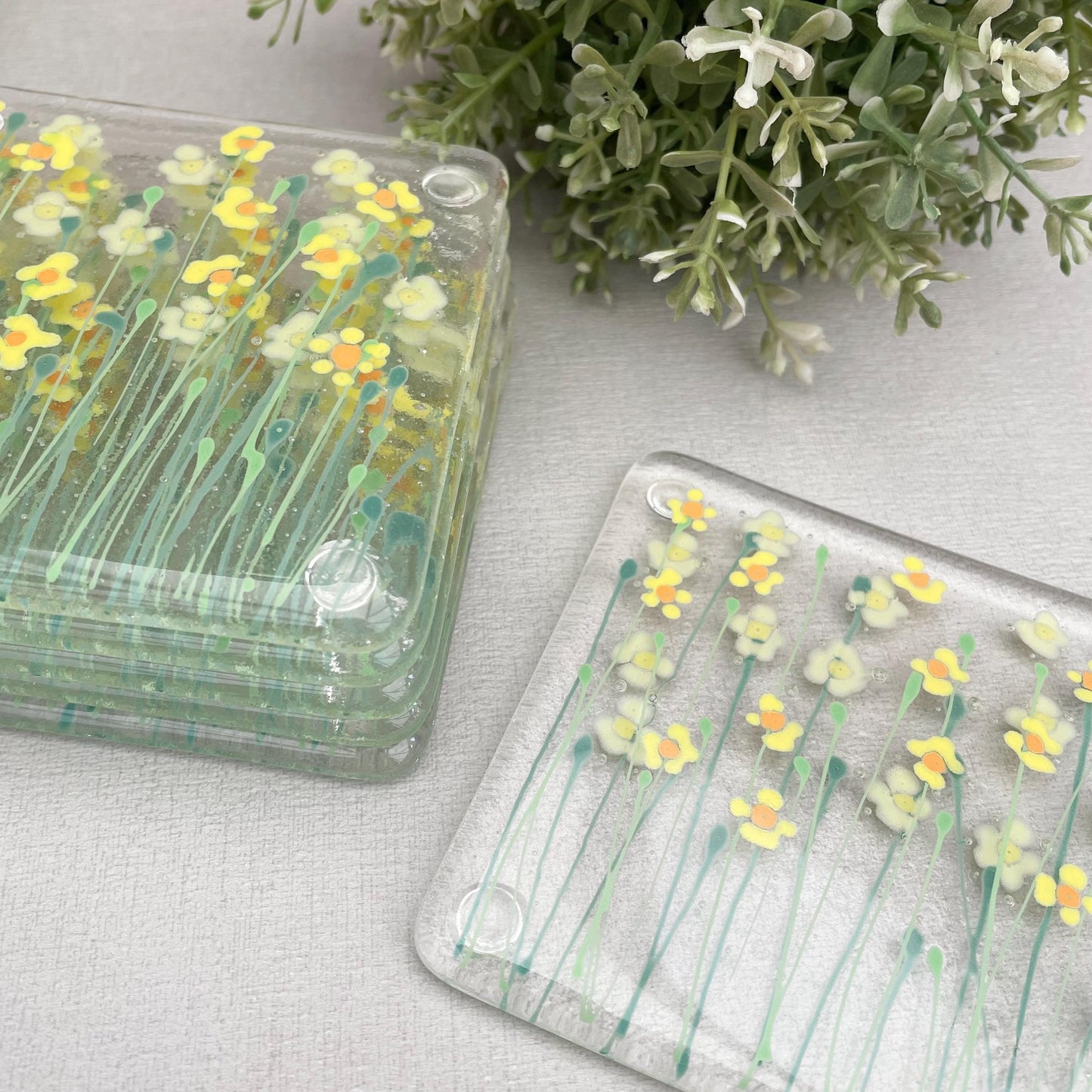 Daffodils & Narcissus - coasters
