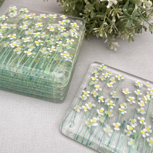 White Daisies - coasters