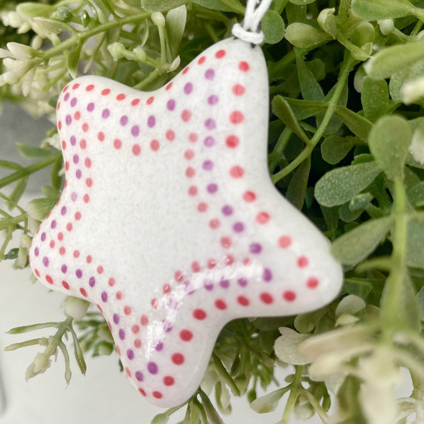 Fiesta Stars & Hearts